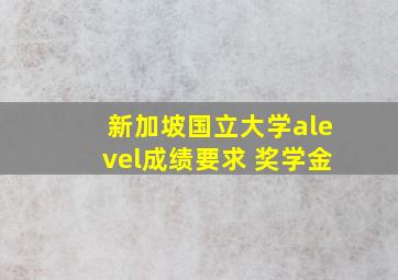 新加坡国立大学alevel成绩要求 奖学金